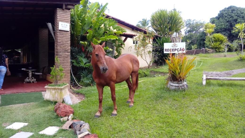 Hotel Fazenda Agua Da Prata Agri Turismo Camaçari Eksteriør billede