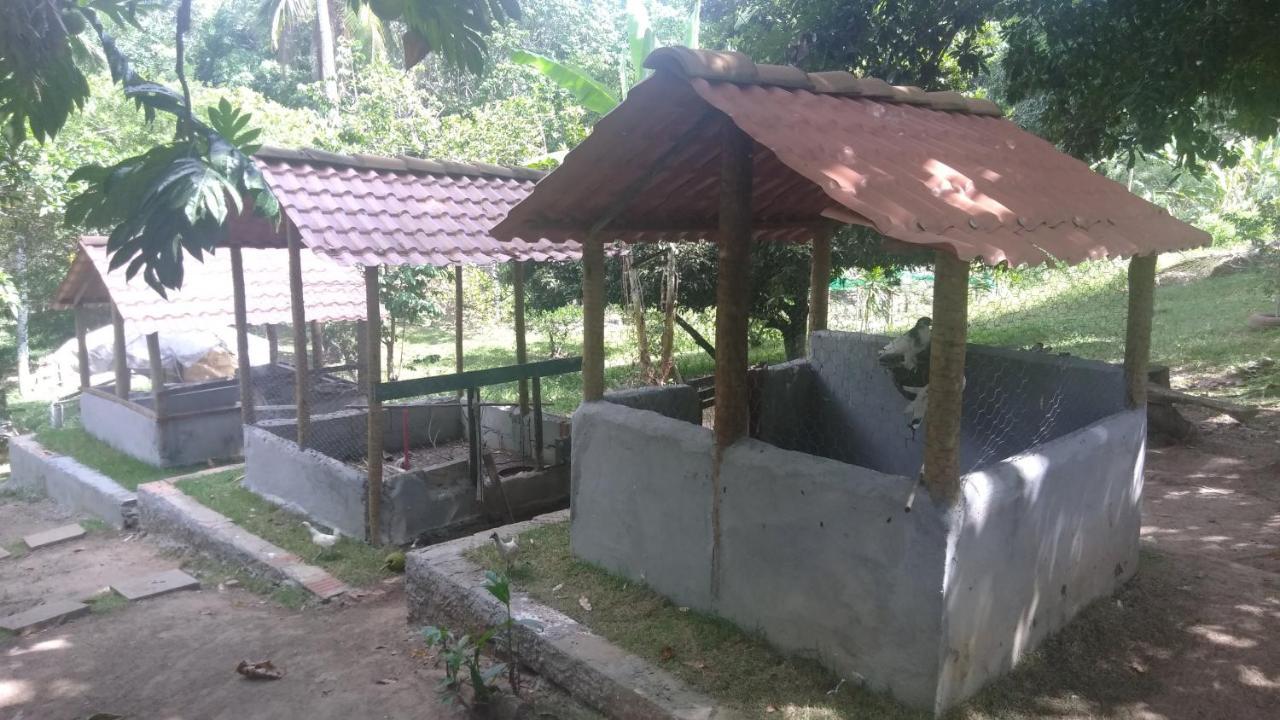 Hotel Fazenda Agua Da Prata Agri Turismo Camaçari Eksteriør billede